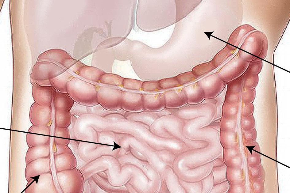 Colonhidroterapia by Centru de sanatate BULUS